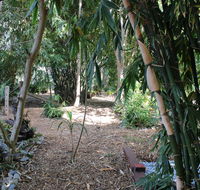 Rainforest Water Front River Shack Secluded. - Accommodation 4U