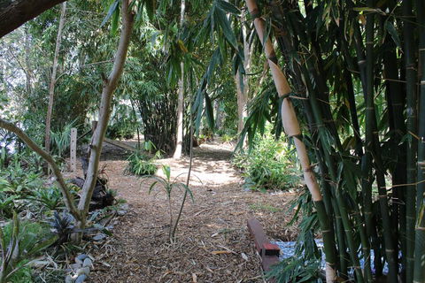 Rainforest, Water Front, River Shack, Secluded. - Accommodation 4U 0