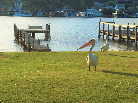 Riverfront Getaway - Mannum - Accommodation 4U 0