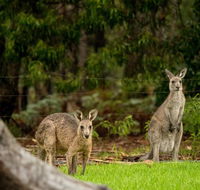 Secura Lifestyle Countryside Kalaru - Accommodation 4U