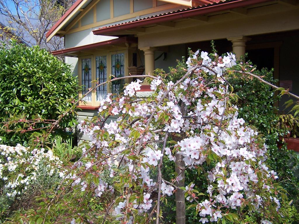 Katoomba NSW Accommodation 4U