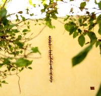 Siggy's Perth Accommodation - Accommodation 4U