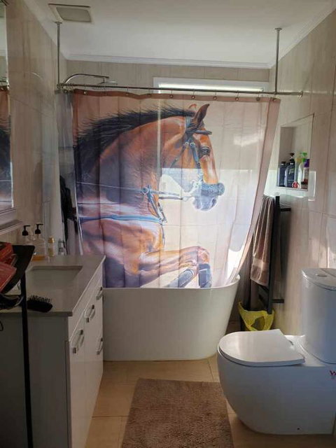 Silverbirch Cottage - Accommodation 4U 3