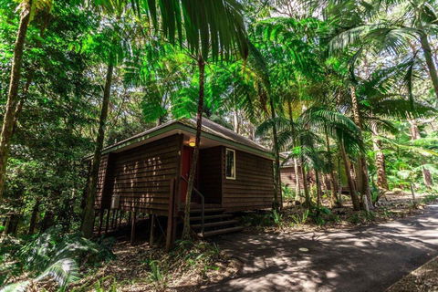 Songbirds Rainforest Retreat - Accommodation 4U 2