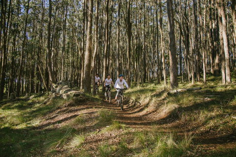 Spicers Peak Lodge - Accommodation 4U 3