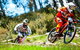 Stenmark 5/3 Poley Cow Lane - thumb 1