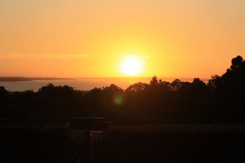 Studio 165 Hidden Gem On 50 Acres With Bay Views - Accommodation 4U 1