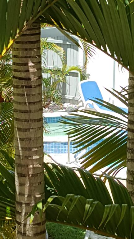 Studio Apartment Mooloolaba Beach Holiday Management - Accommodation 4U 0