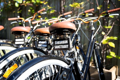 Suburban Sanctuary - Accommodation 4U 1