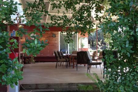 Sue's Sanctuary - Accommodation 4U 1
