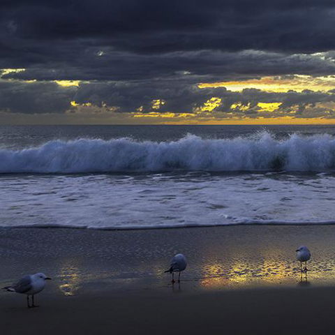 Surfers Horizons - Accommodation 4U 3