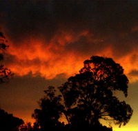 Taits Place Vineyard B  B - Accommodation 4U