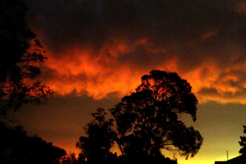 Taits Place Vineyard B & B - Accommodation 4U 0