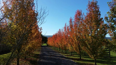 Tamar Valley Farm Stay - Accommodation 4U 3