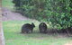 Tamar Valley Farm Stay - thumb 1