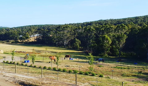 Lockleigh Park - Accommodation 4U 19