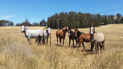 Lockleigh Park - Accommodation 4U 28