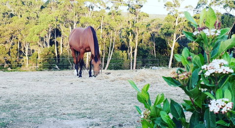 Lockleigh Park - Accommodation 4U 20