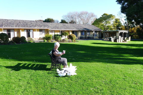 Willaway Motel Apartments - Accommodation 4U 10