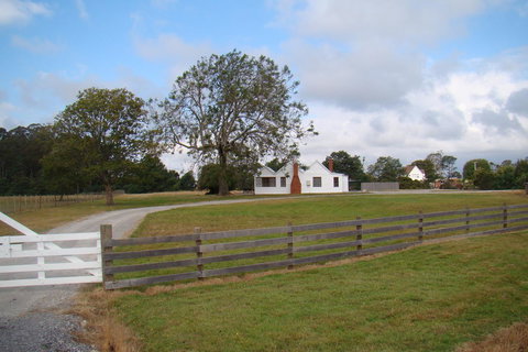 Buttons Cottage For Canyon & Rain Forest Walks With In House Dining - Accommodation 4U 16