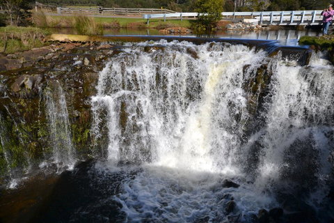 Buttons Cottage For Canyon & Rain Forest Walks With In House Dining - Accommodation 4U 30