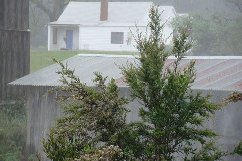 Buttons Cottage For Canyon & Rain Forest Walks With In House Dining - Accommodation 4U 9