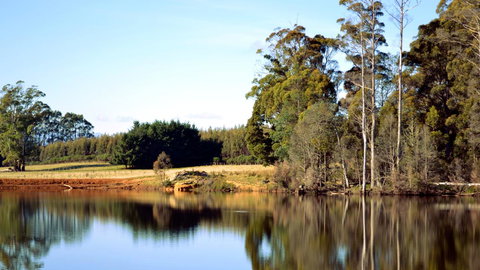 Buttons Cottage For Canyon & Rain Forest Walks With In House Dining - Accommodation 4U 29