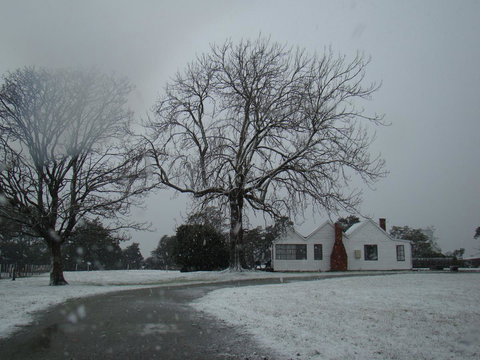 Buttons Cottage For Canyon & Rain Forest Walks With In House Dining - Accommodation 4U 11