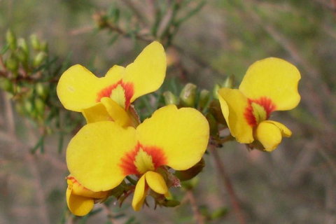 Three Beaches - Accommodation 4U 43