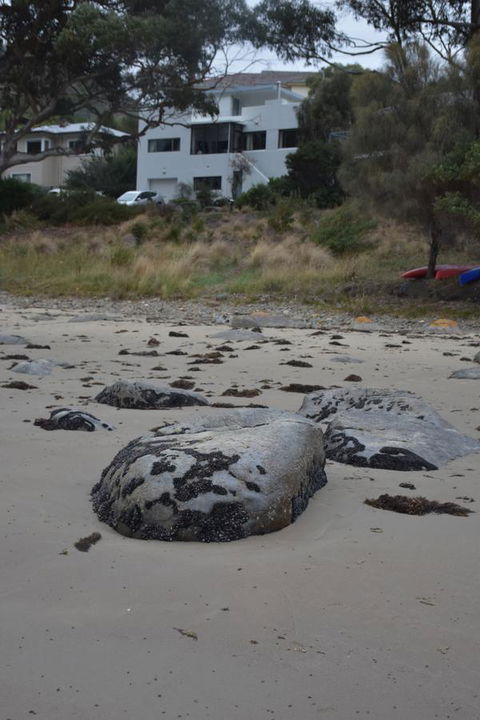 Beachside Taroona With Spa - Accommodation 4U 21