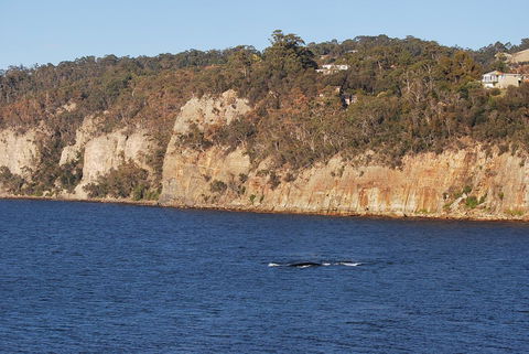 Beachside Taroona With Spa - Accommodation 4U 29