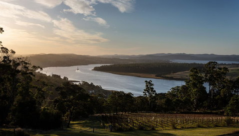 Domescapes In The Vines - Accommodation 4U 10