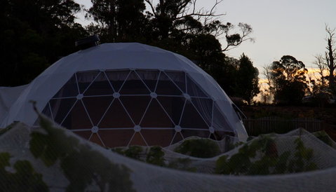 Domescapes In The Vines - Accommodation 4U 12