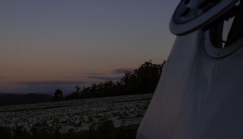 Domescapes In The Vines - Accommodation 4U 4