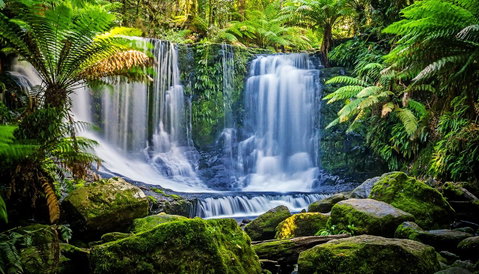 Domescapes In The Vines - Accommodation 4U 13