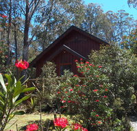 Cradle Mountain Highlanders - Accommodation 4U