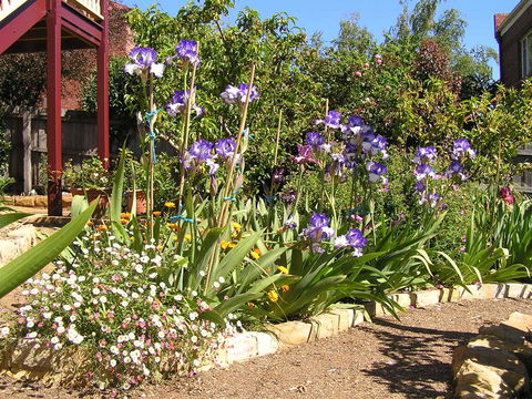 Bendalls Bed And Breakfast - Accommodation 4U 10
