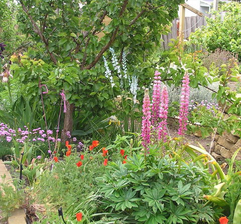 Bendalls Bed And Breakfast - Accommodation 4U 14