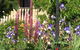 Bendalls Bed And Breakfast - thumb 19