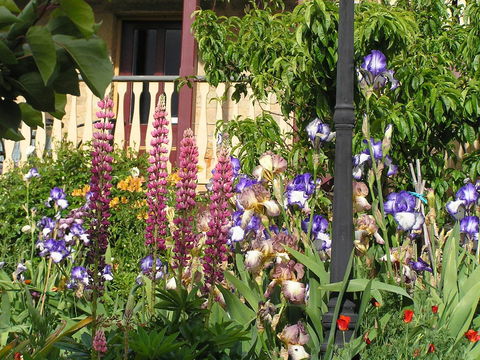 Bendalls Bed And Breakfast - Accommodation 4U 19