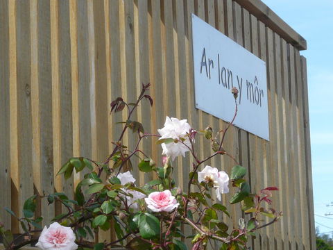 Ar Lan Y Mor - Accommodation 4U 12