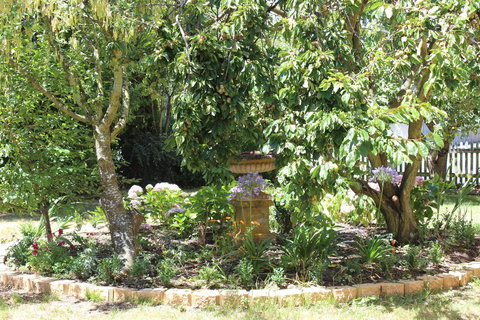 Bellamona - Accommodation 4U 23