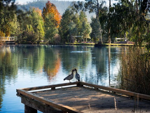 Peppers Marysville - Accommodation 4U 12
