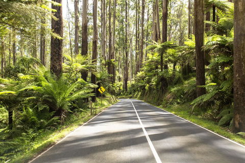 Peppers Marysville - Accommodation 4U 21