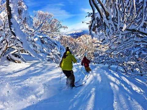 Buller Central Hotel - Accommodation 4U 13