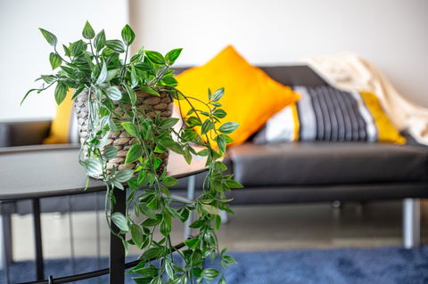 Brand New One/Two - Bed Room Apartment @ Maribyrnong - Accommodation 4U 0