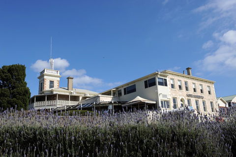 Hotel Sorrento - Accommodation 4U 30