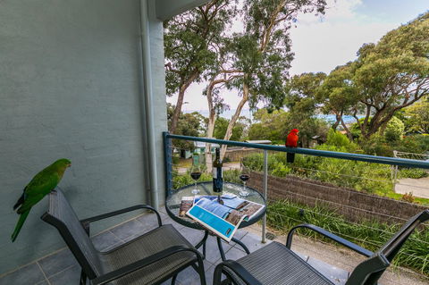 Lorne Surf Apartments - Accommodation 4U 21
