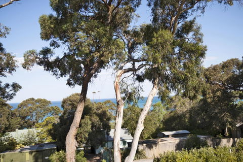 Lorne Surf Apartments - Accommodation 4U 6