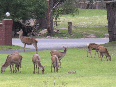 The Grampians Motel - Accommodation 4U 23
